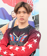 嘉永泰斗