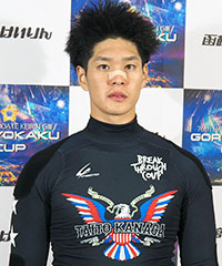 嘉永泰斗